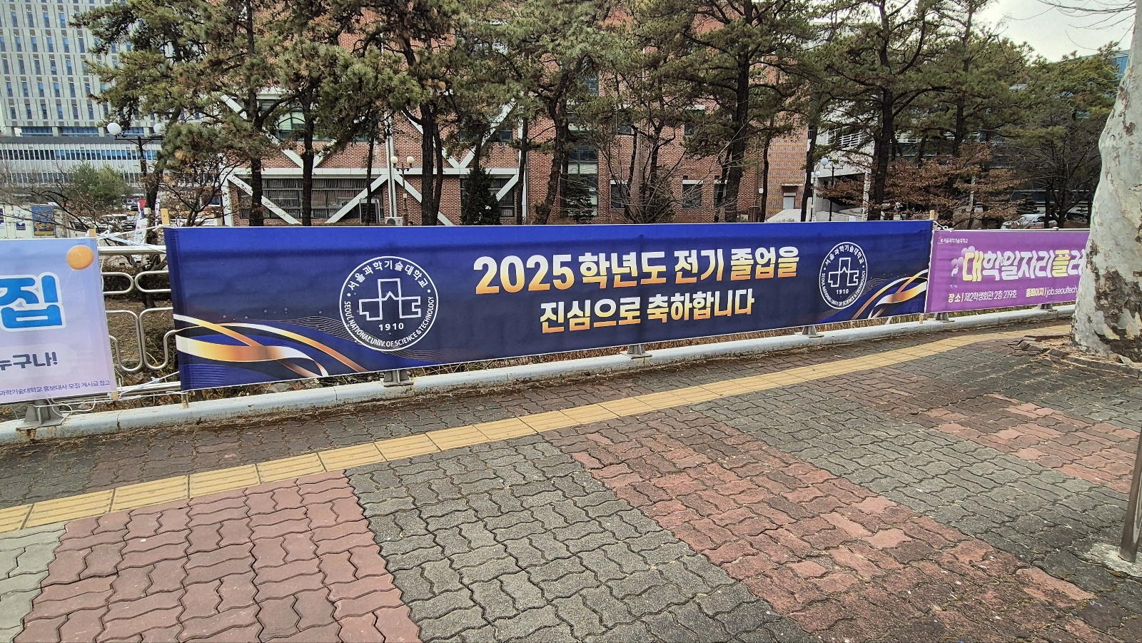cfb964da0343e.jpg
