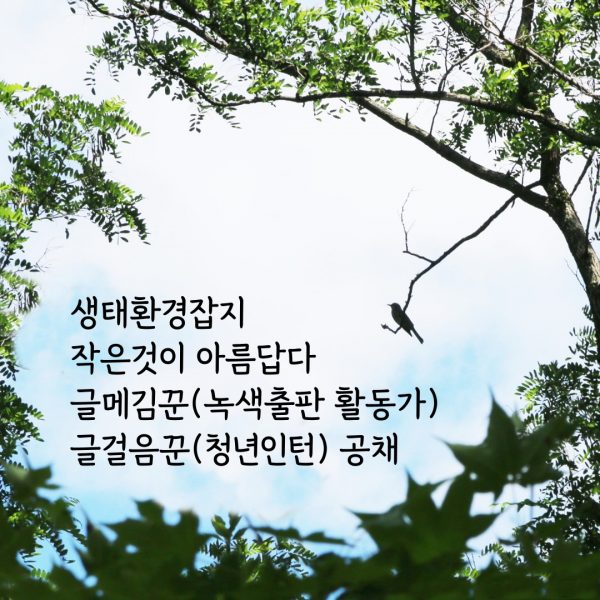 331fe0a64f172.jpg