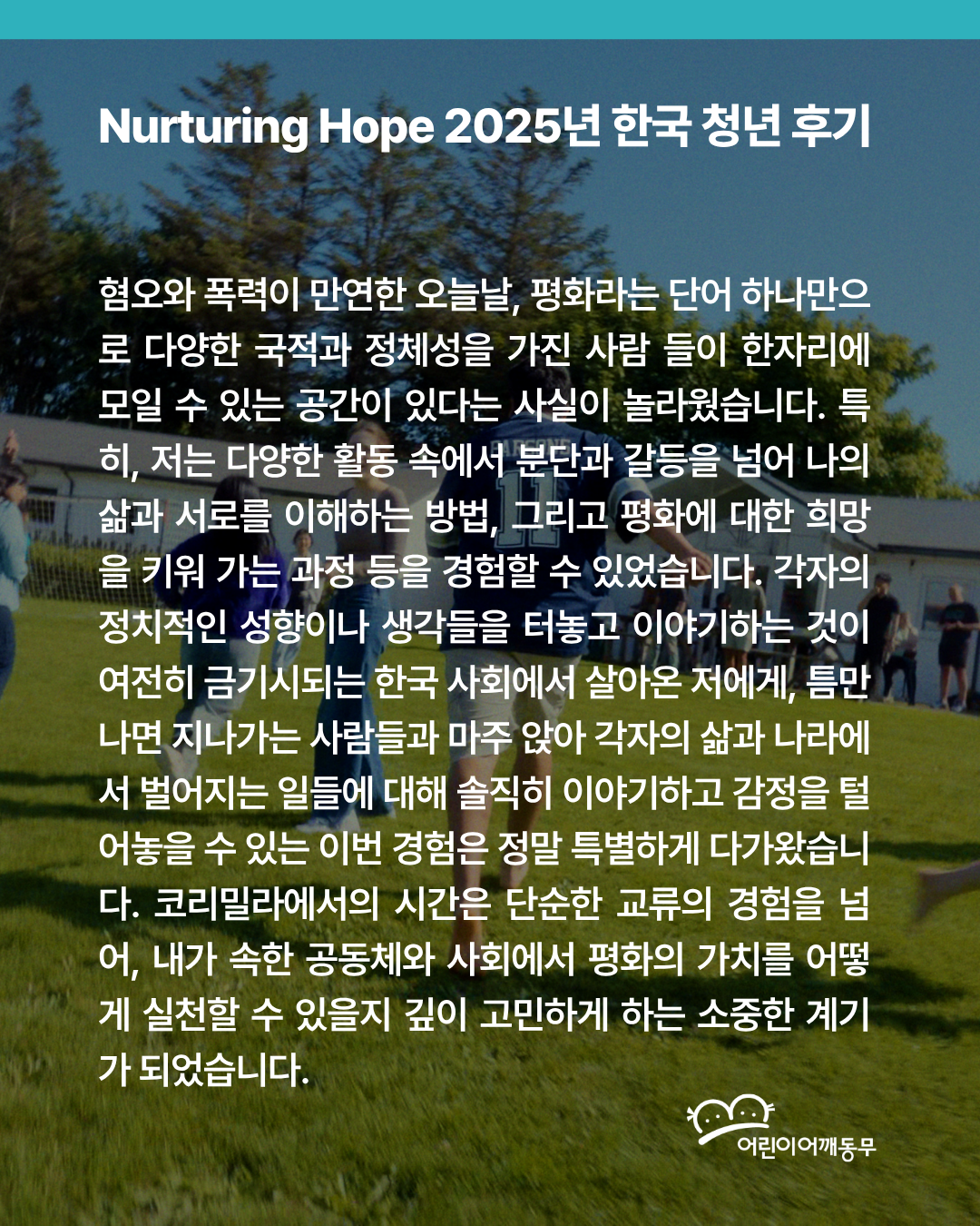 e9163ed06d126.png