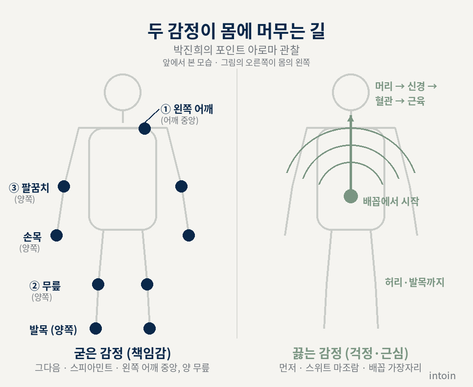 앞에서 본 사람 몸 위에 굳은 감정의 자리(왼쪽 어깨 중앙, 양쪽 팔꿈치·손목·무릎·발목)와 끓는 감정의 길(배꼽에서 머리와 온몸으로)을 나눠 그린 도식 앞에서 본 사람 몸 위에 굳은 감정의 자리(왼쪽 어깨 중앙, 양쪽 팔꿈치·손목·무릎·발목)와 끓는 감정의 길(배꼽에서 머리와 온몸으로)을 나눠 그린 도식