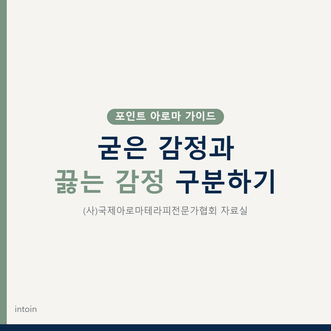 굳은 감정과 끓는 감정 구분하기 — 포인트 아로마 가이드 대표 이미지