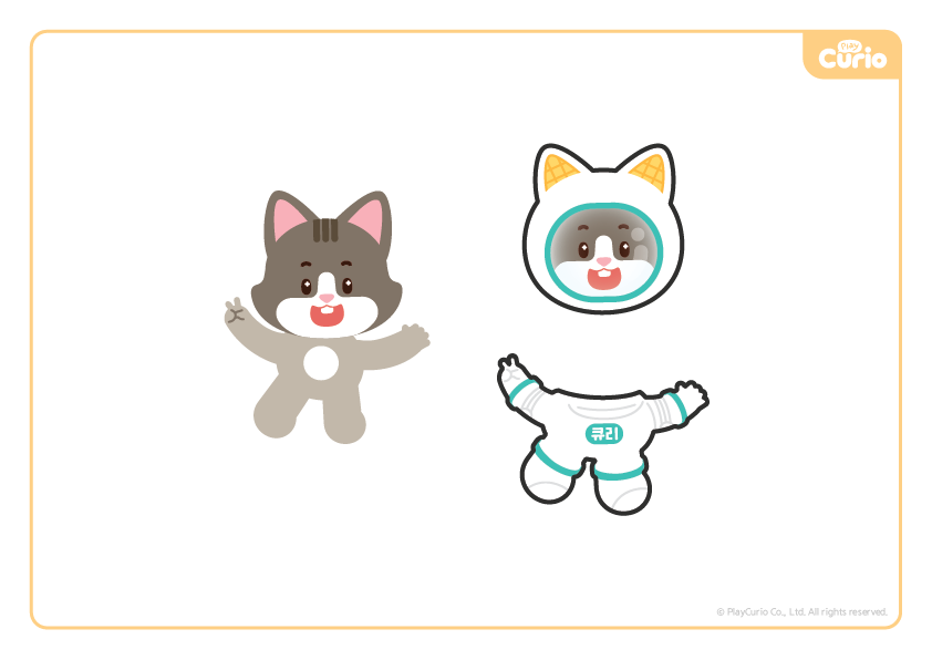 b95420960d37d.png