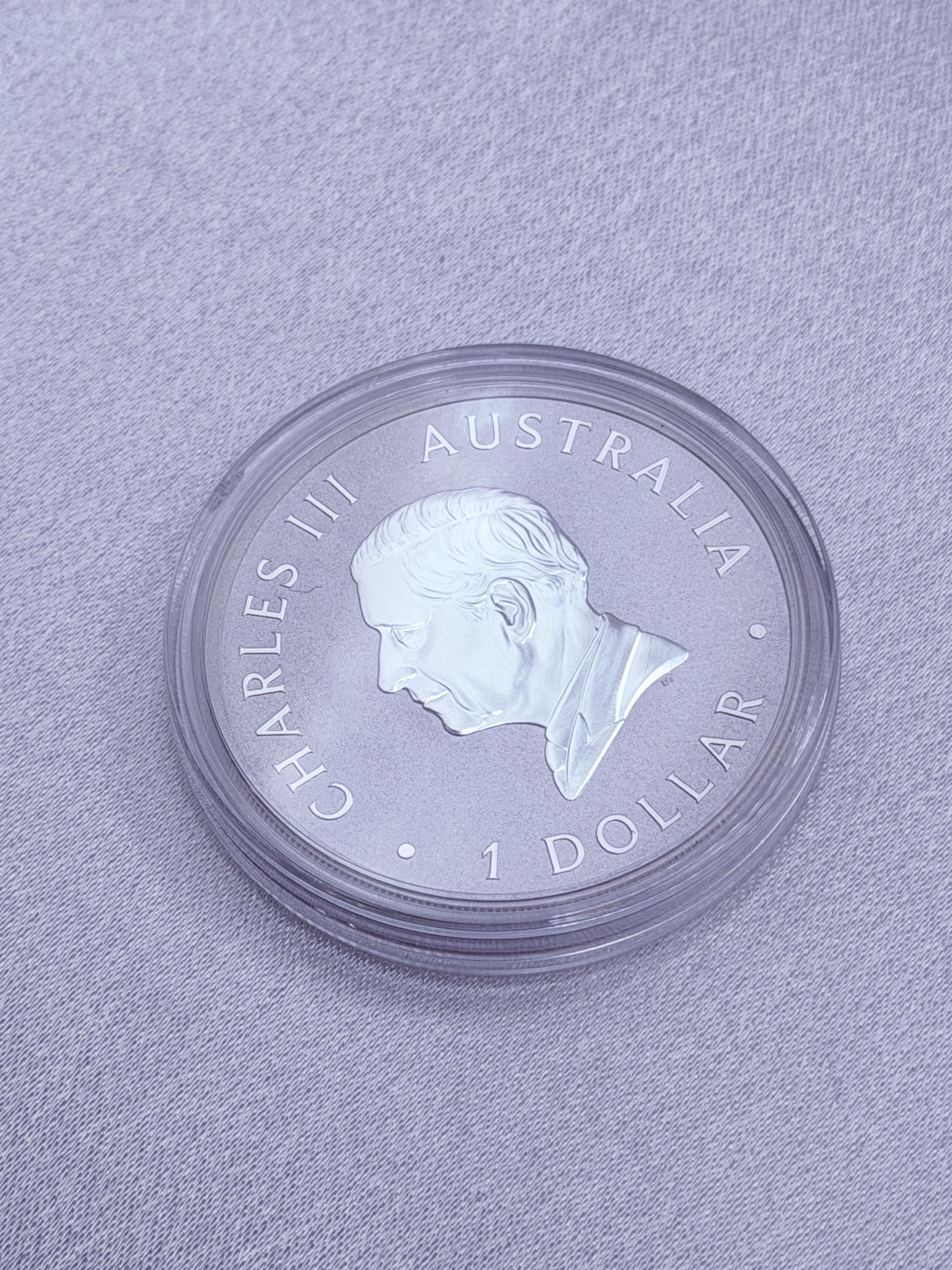 2026 Australia 1 oz Silver Brumby BU