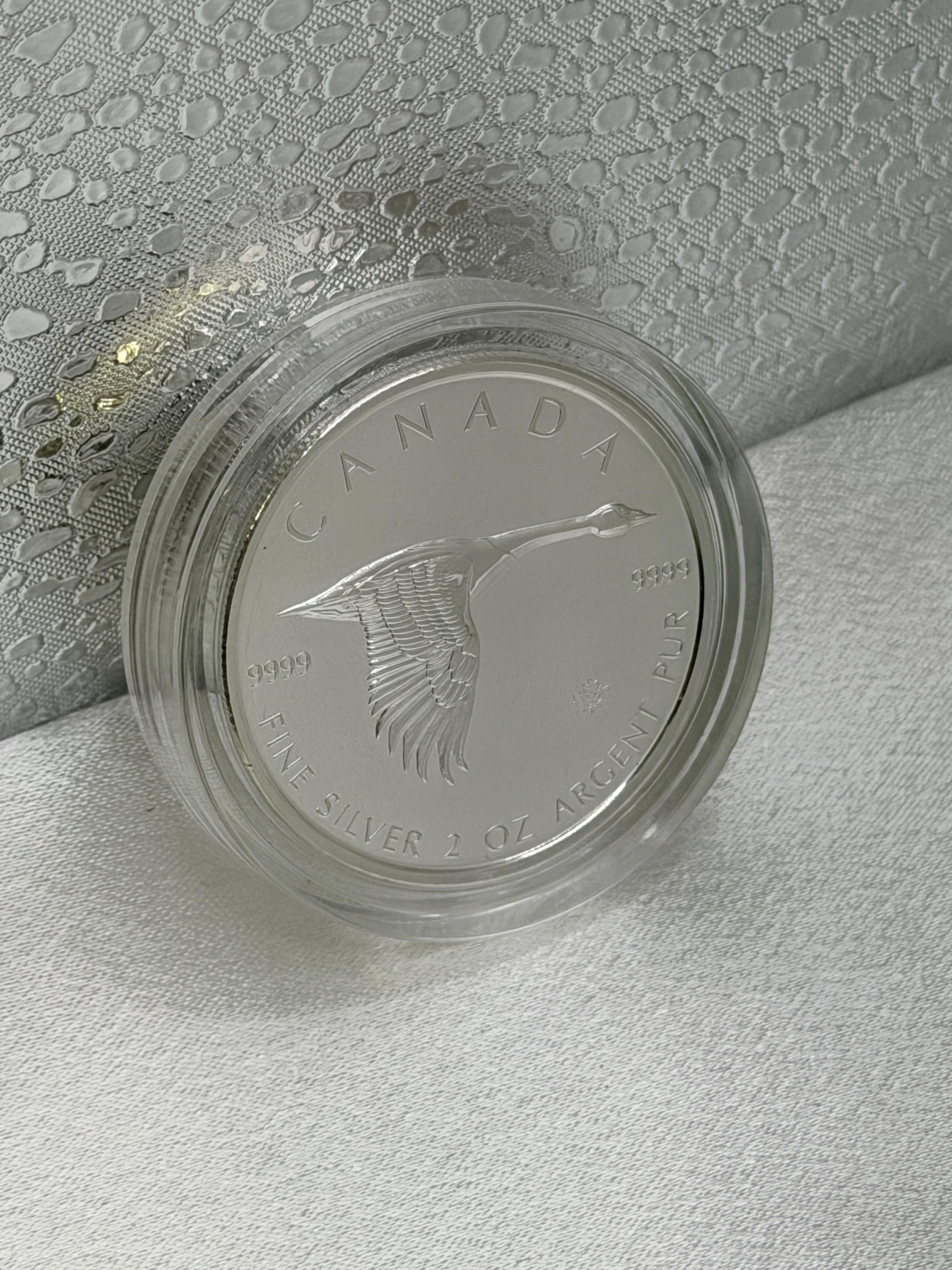 2020 2oz Silver Canada Goose BU