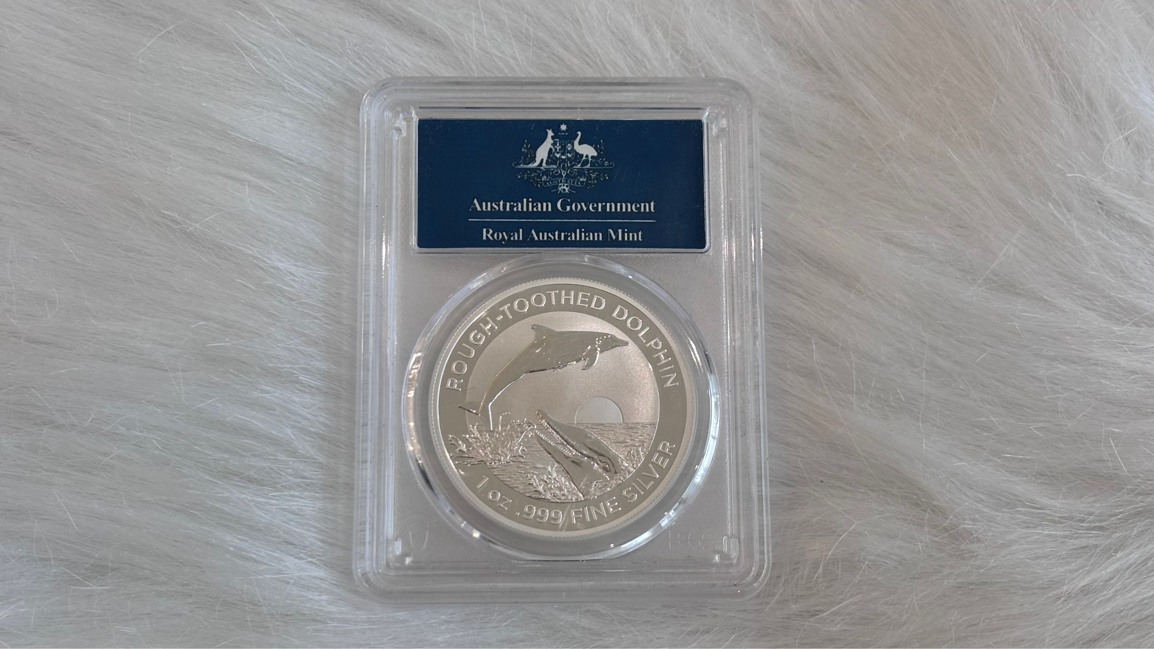 2023 Royal Australian Mint Silver Rough-toothed Dolphin Coin 1oz