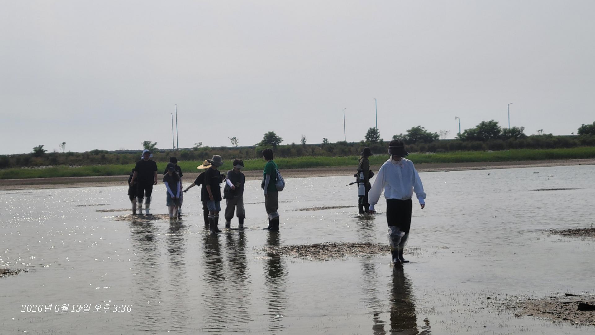 d75acf17f0786.jpg