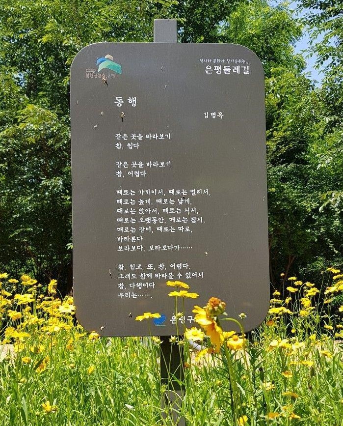 fe176db48520d.jpg
