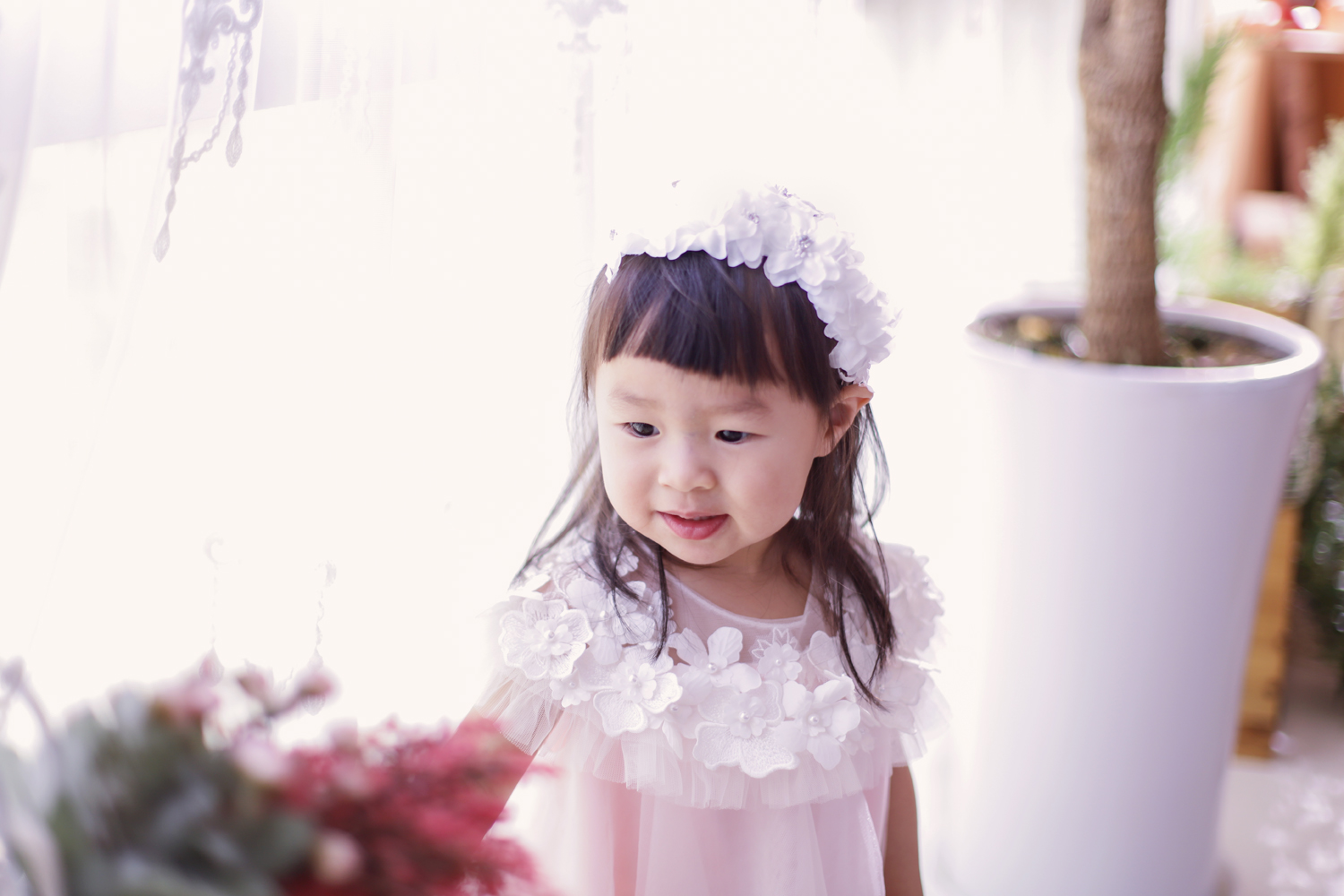 3ad202a56f62d.jpg, image size:1500x1000