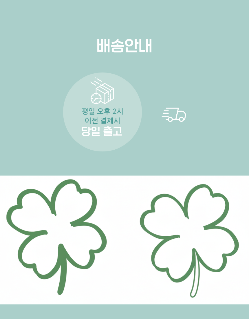 행운 네잎클로버 메세지 연연두봉투 SET