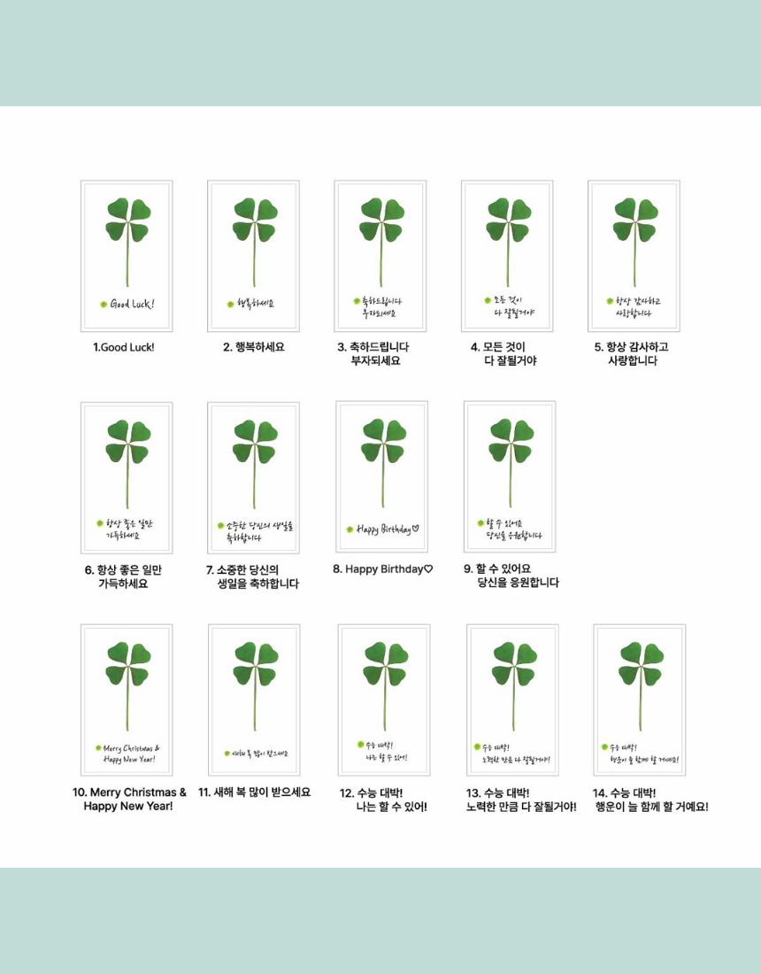 행운 네잎클로버 메세지 연연두봉투 SET