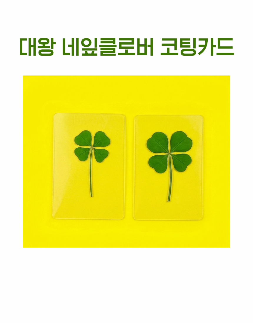 [대왕] 네잎클로버 투명 코팅카드 생생정보 푸드클로버