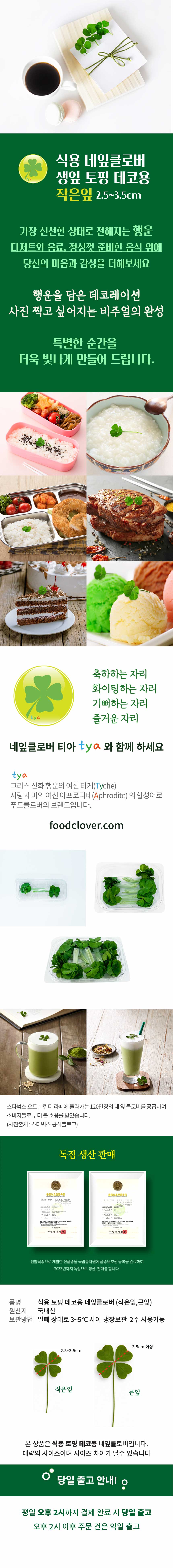 생생정보 푸드클로버 식용 네잎클로버 (작은잎) 생잎 토핑 데코용 50잎