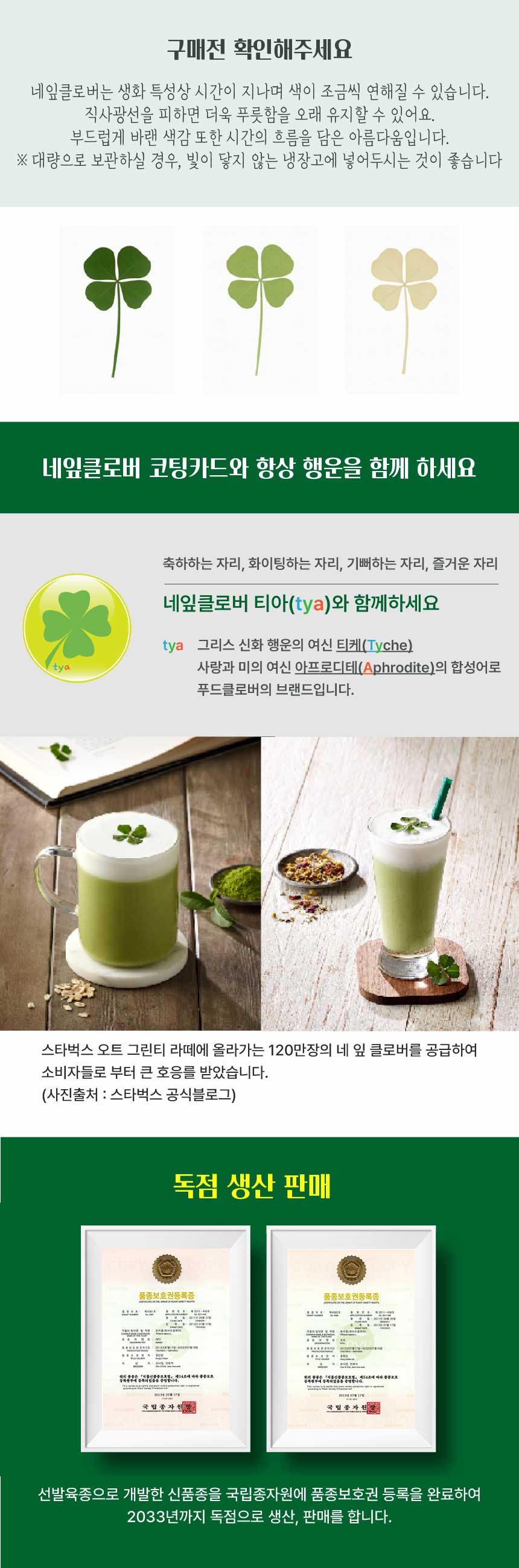 푸드클로버 진짜 네잎클로버 일러스트 투명 코팅 책갈피