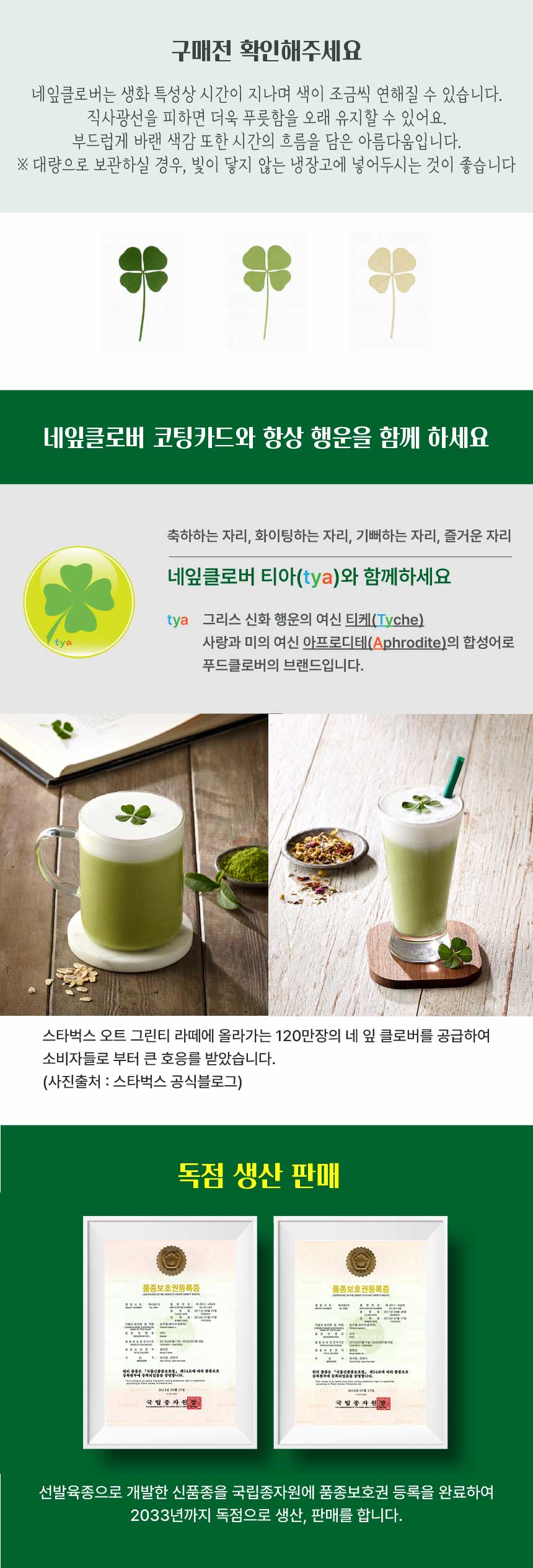 직접 만져보는 네잎클로버 생화 책갈피