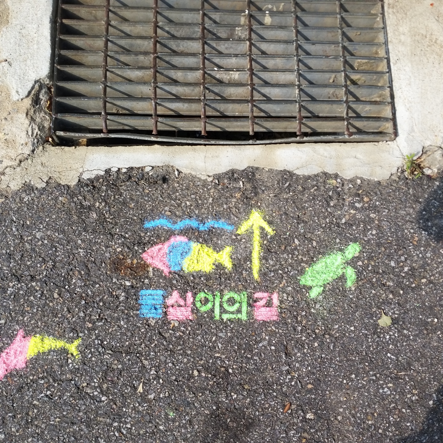물살이의 길