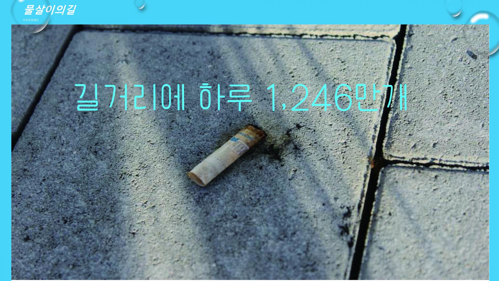물살이의 길