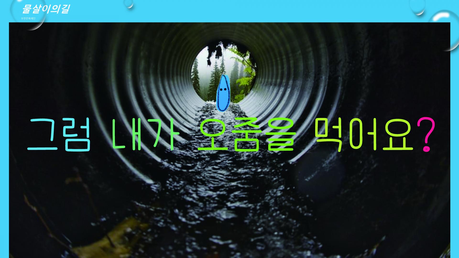 물살이의 길