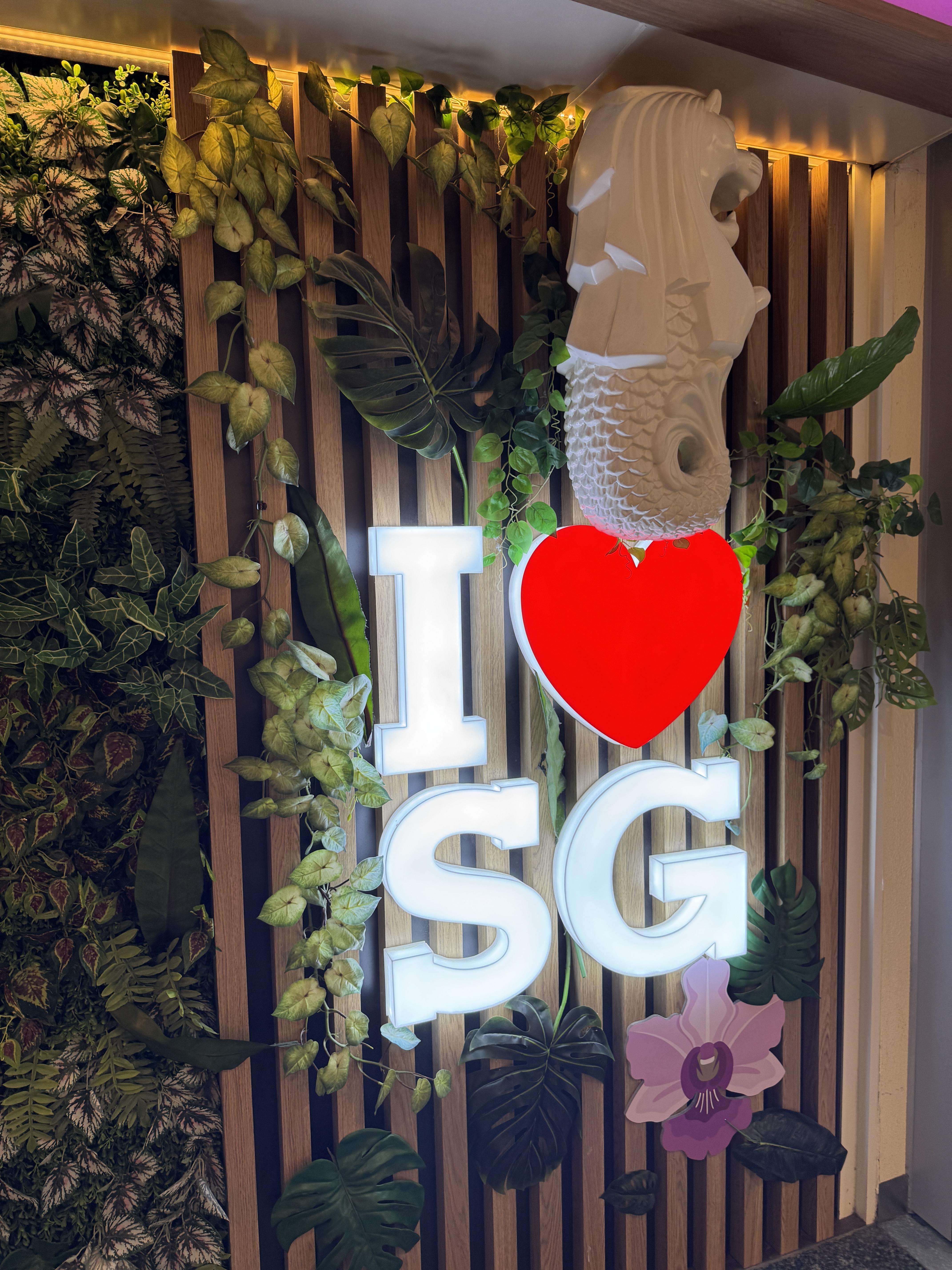 i love SG