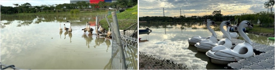 d5efe586034ac.jpg
