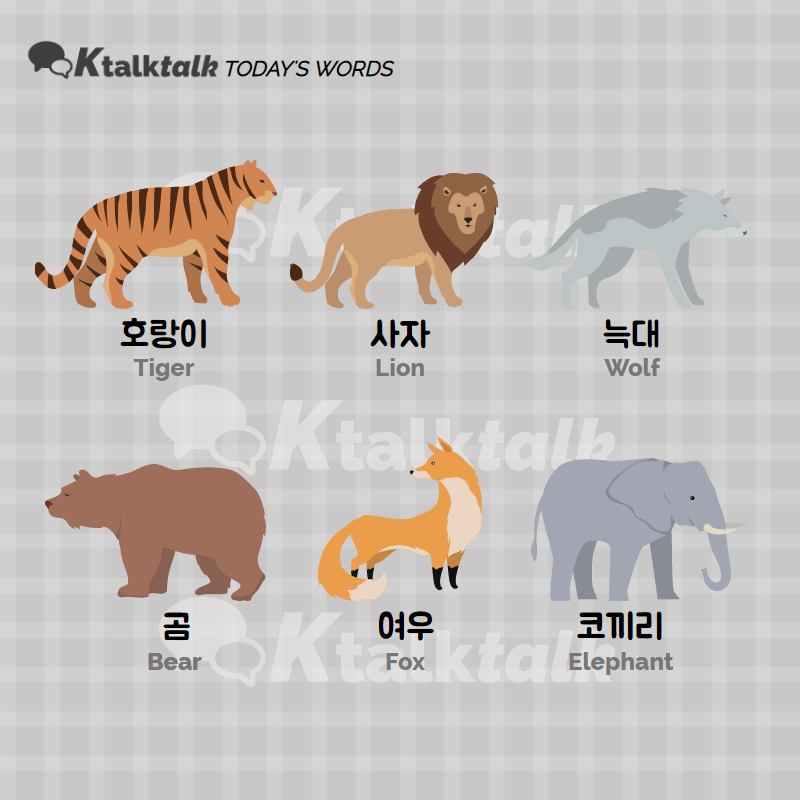 ] Words : 동물과 관련된 단어들 (Words related to Animals) : Ktalktalk  Studylog - Korean study materials for you