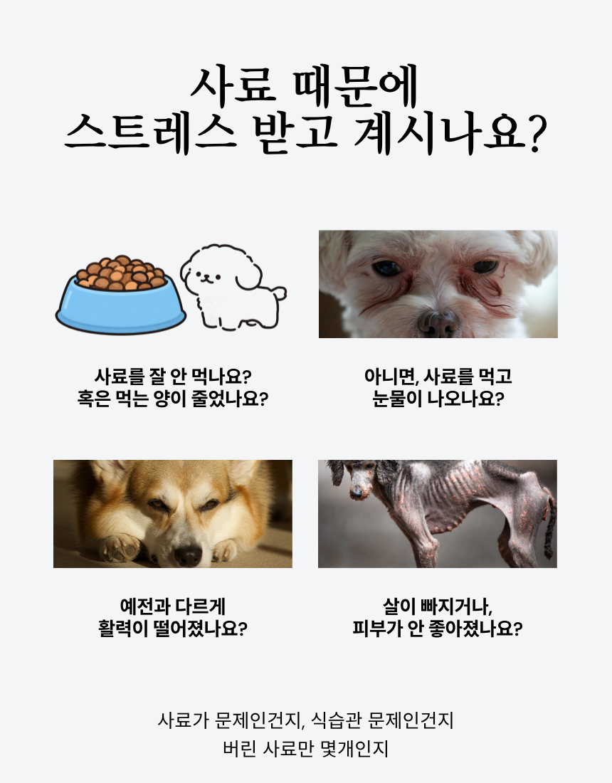 강아지 다이어트 저지방 체중조절 사료 핫듀드 1kg 20개