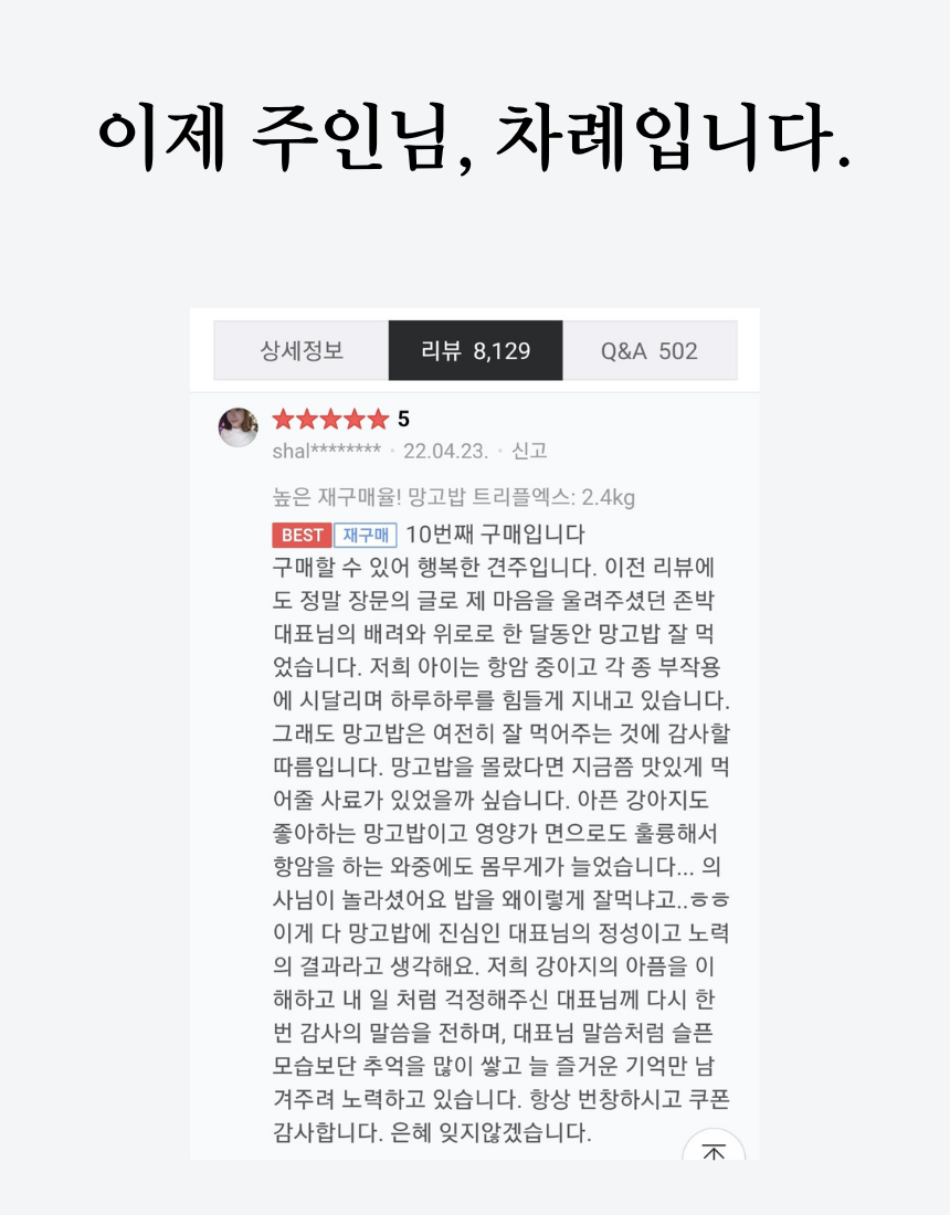 루이밥 트리플엑스 전묘종 퍼피 어덜트 시니어 고양이 사료 1kg 20개