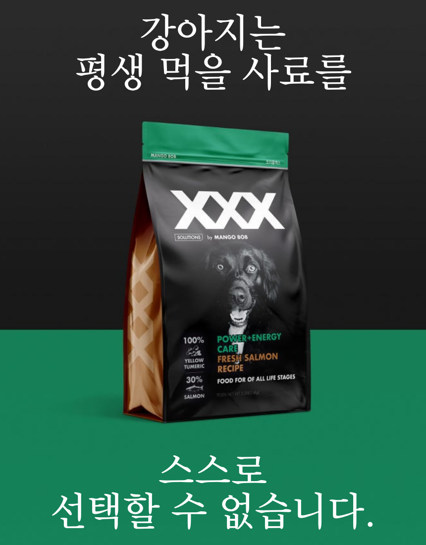 강아지 산책줄 목줄 하네스 리드줄 대형견 3종세트 카무몬스터 20개