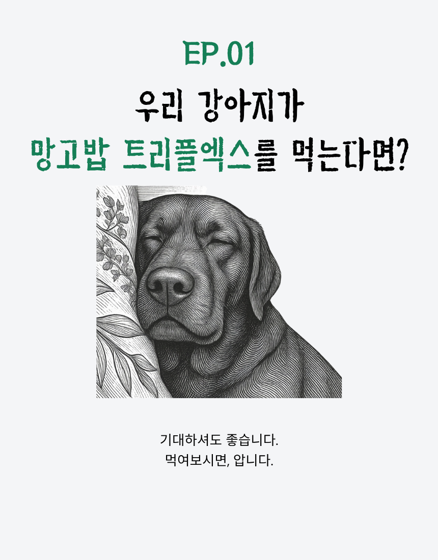 강아지 다이어트 저지방 체중조절 사료 핫듀드 1kg 20개