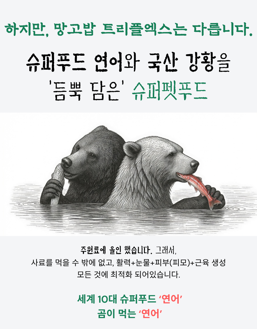 강아지 산책줄 목줄 하네스 리드줄 대형견 3종세트 카무몬스터 20개