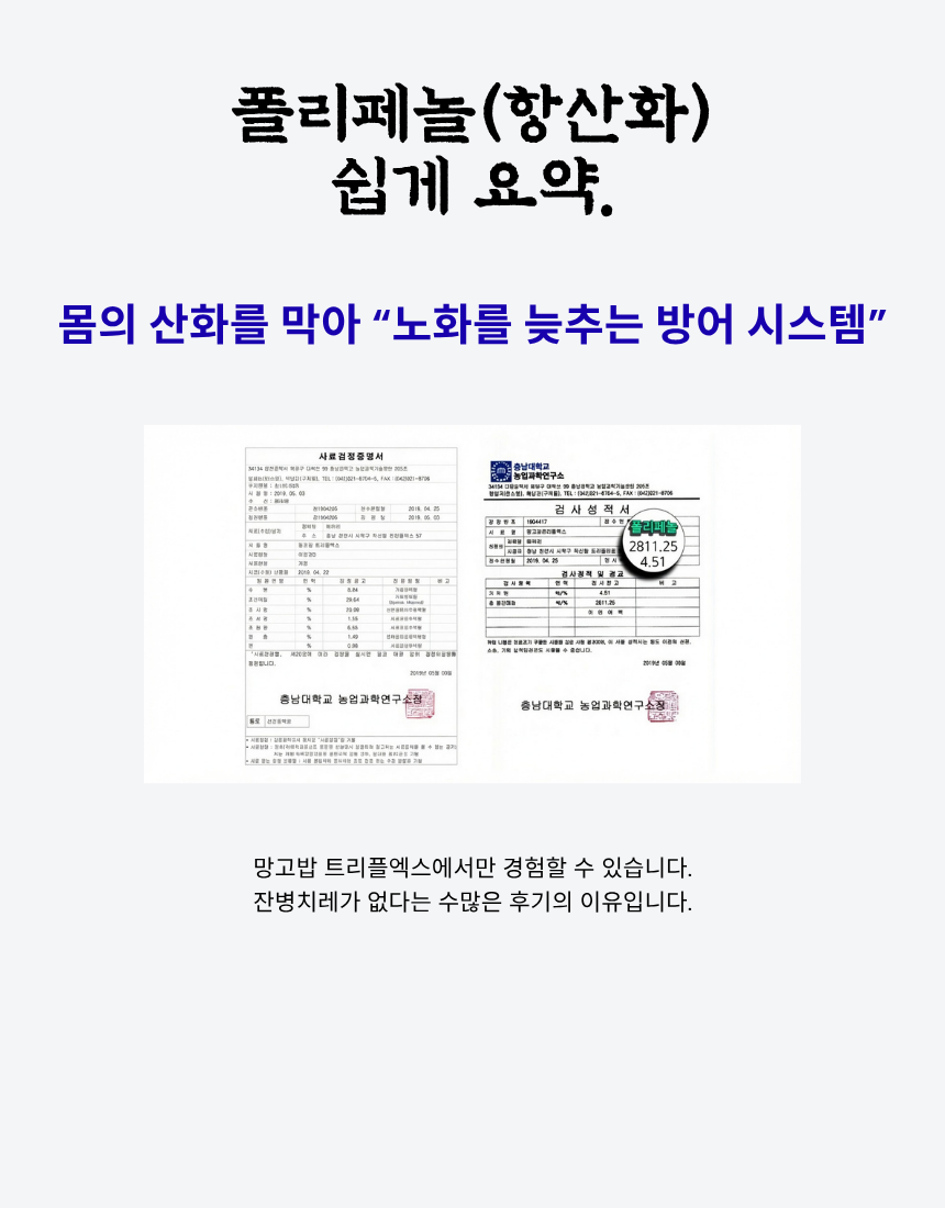 강아지사료 전견종 활력 도움 망고밥 트리플엑스 2.4k 20개