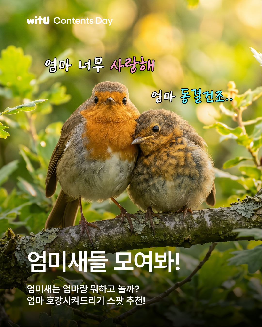 윗유 7월 콘텐츠데이 엄미새 프로젝트