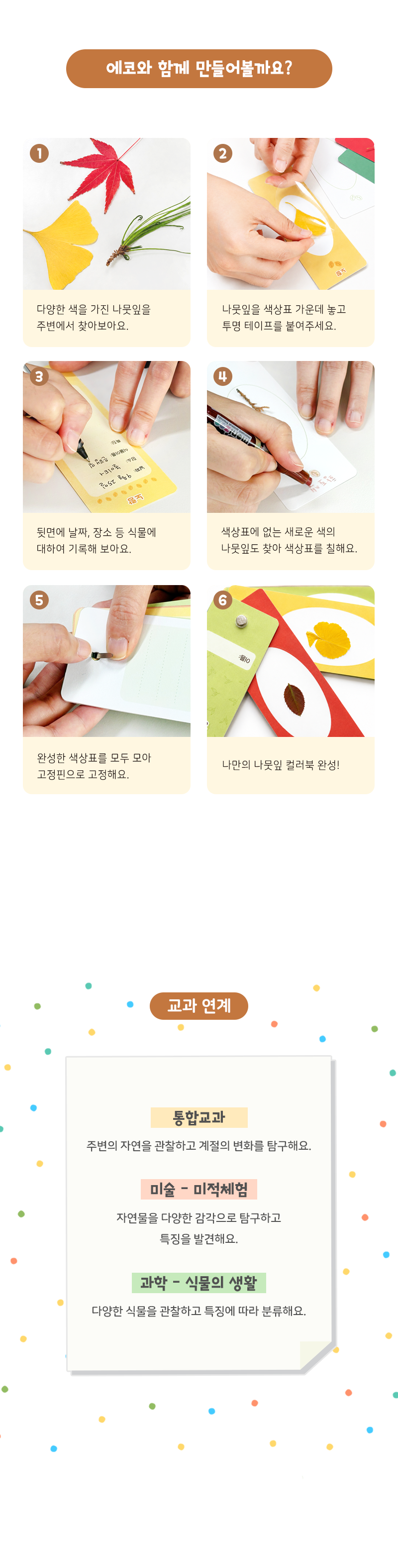 생태 환경교육 자연관찰 알록달록 나뭇잎 컬러북 (수업자료 제공)