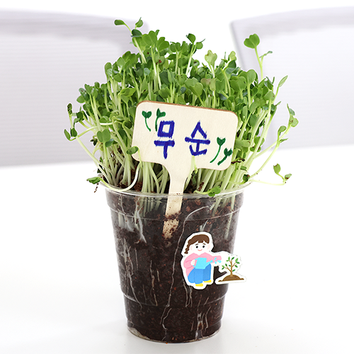 151af53a31211.png