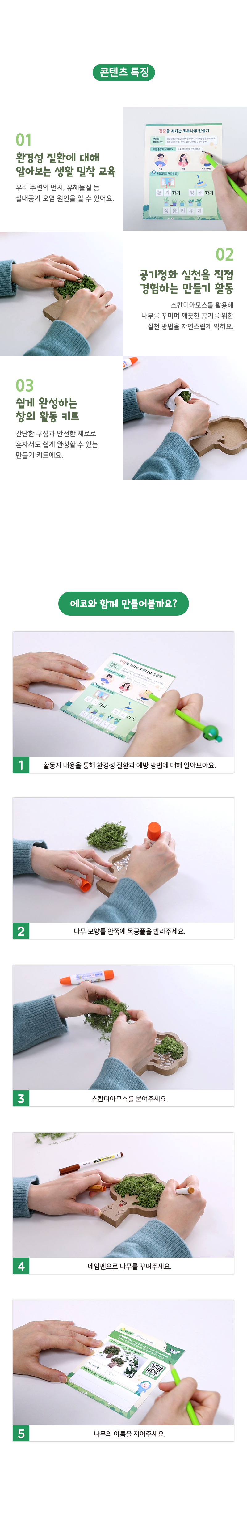 환경성질환 환경교육 스칸디아모스 나무 액자 만들기