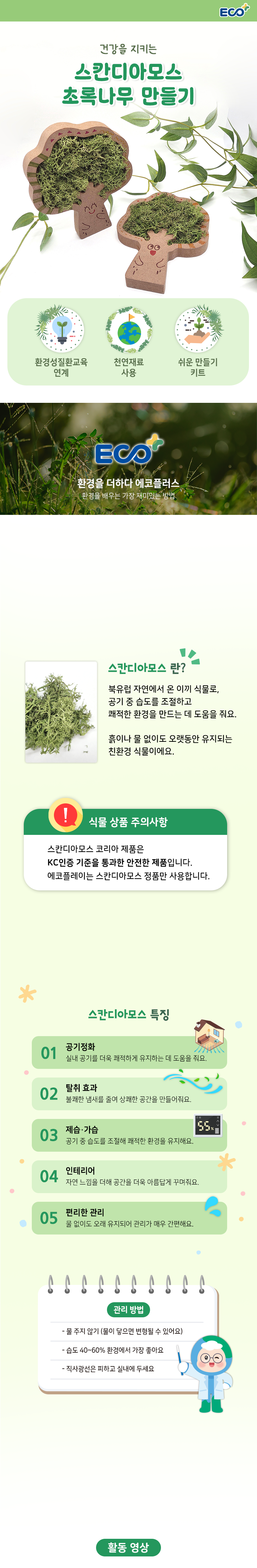 환경성질환 환경교육 스칸디아모스 나무 액자 만들기