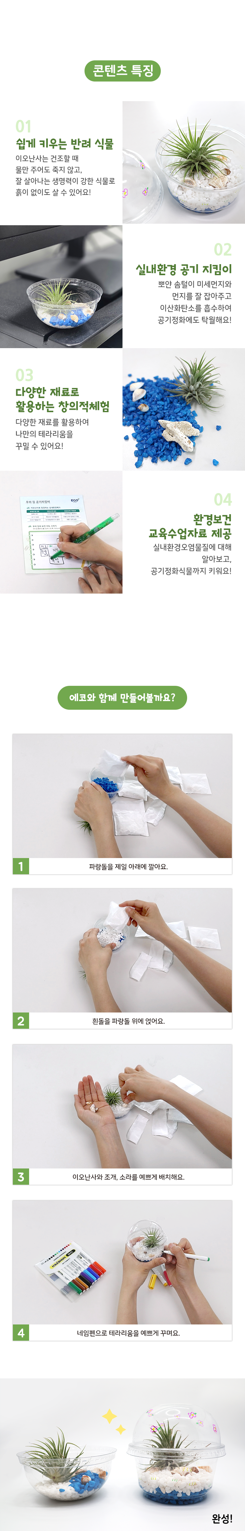 공기정화식물 이오난사 테라리움 만들기 (환경교육 수업 자료 제공)