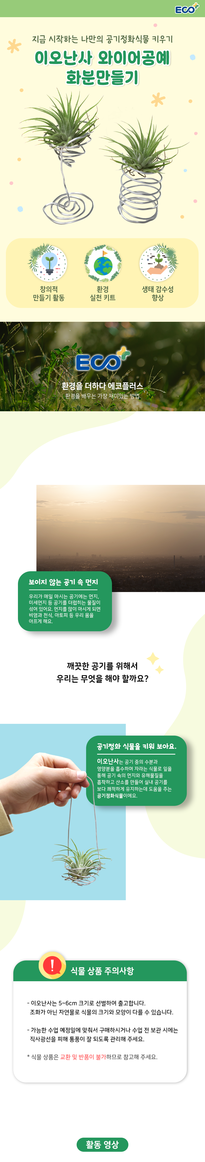 공기정화식물 이오난사 화분 장식 만들기 (환경교육 수업 자료 제공)