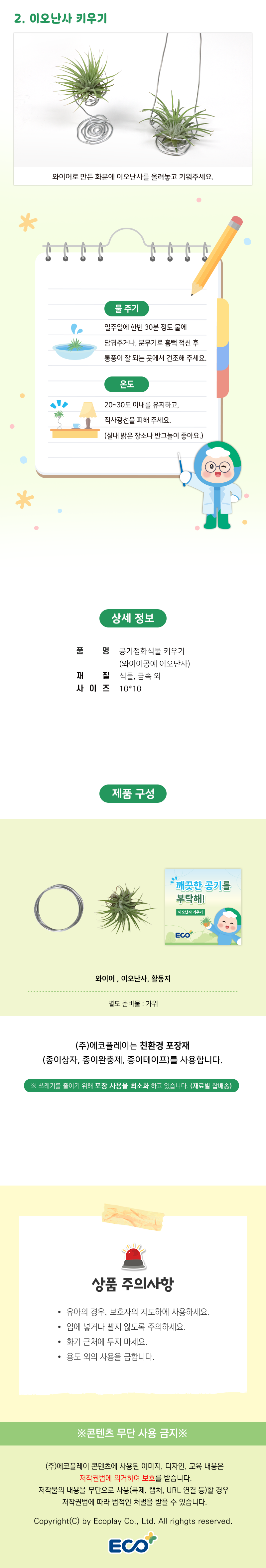 공기정화식물 이오난사 화분 장식 만들기 (환경교육 수업 자료 제공)