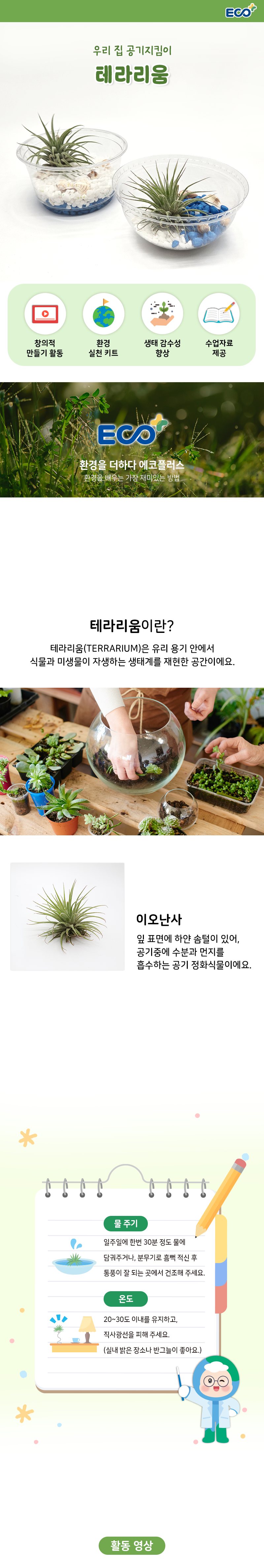 공기정화식물 이오난사 테라리움 만들기 (환경교육 수업 자료 제공)