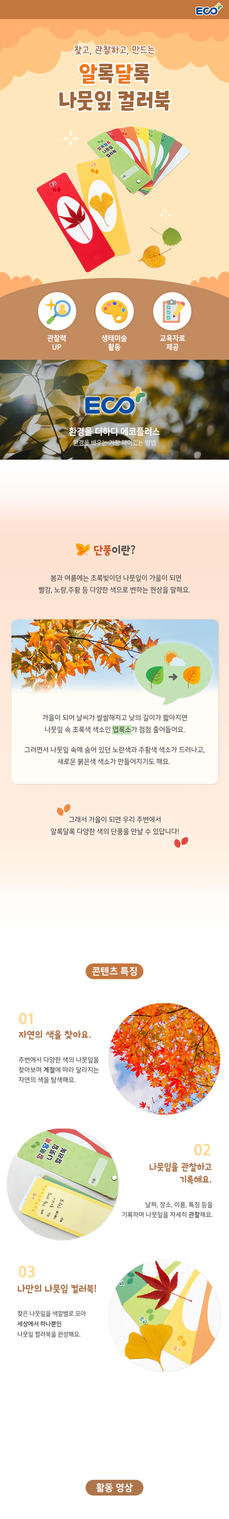 생태 환경교육 자연관찰 알록달록 나뭇잎 컬러북 (수업자료 제공)