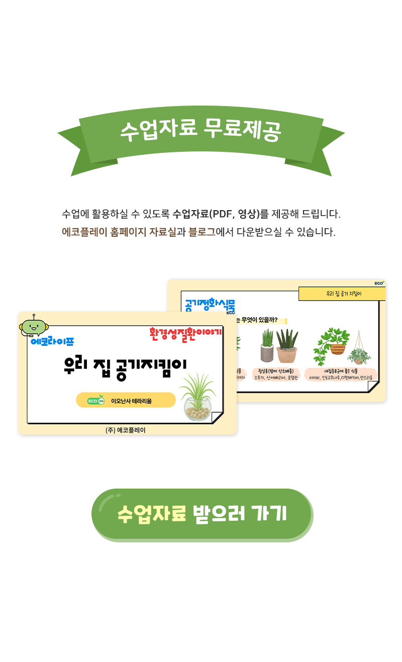 공기정화식물 이오난사 테라리움 만들기 (환경교육 수업 자료 제공)