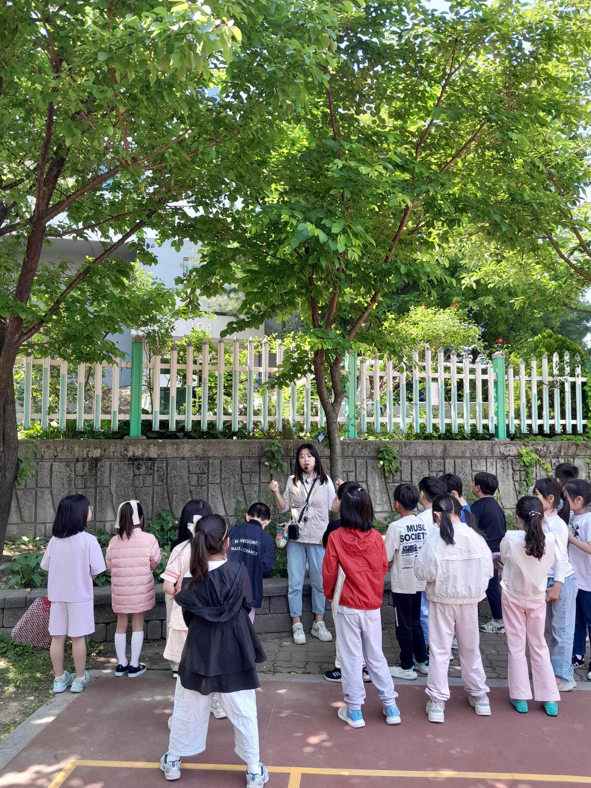90acc3276d9cf.jpg