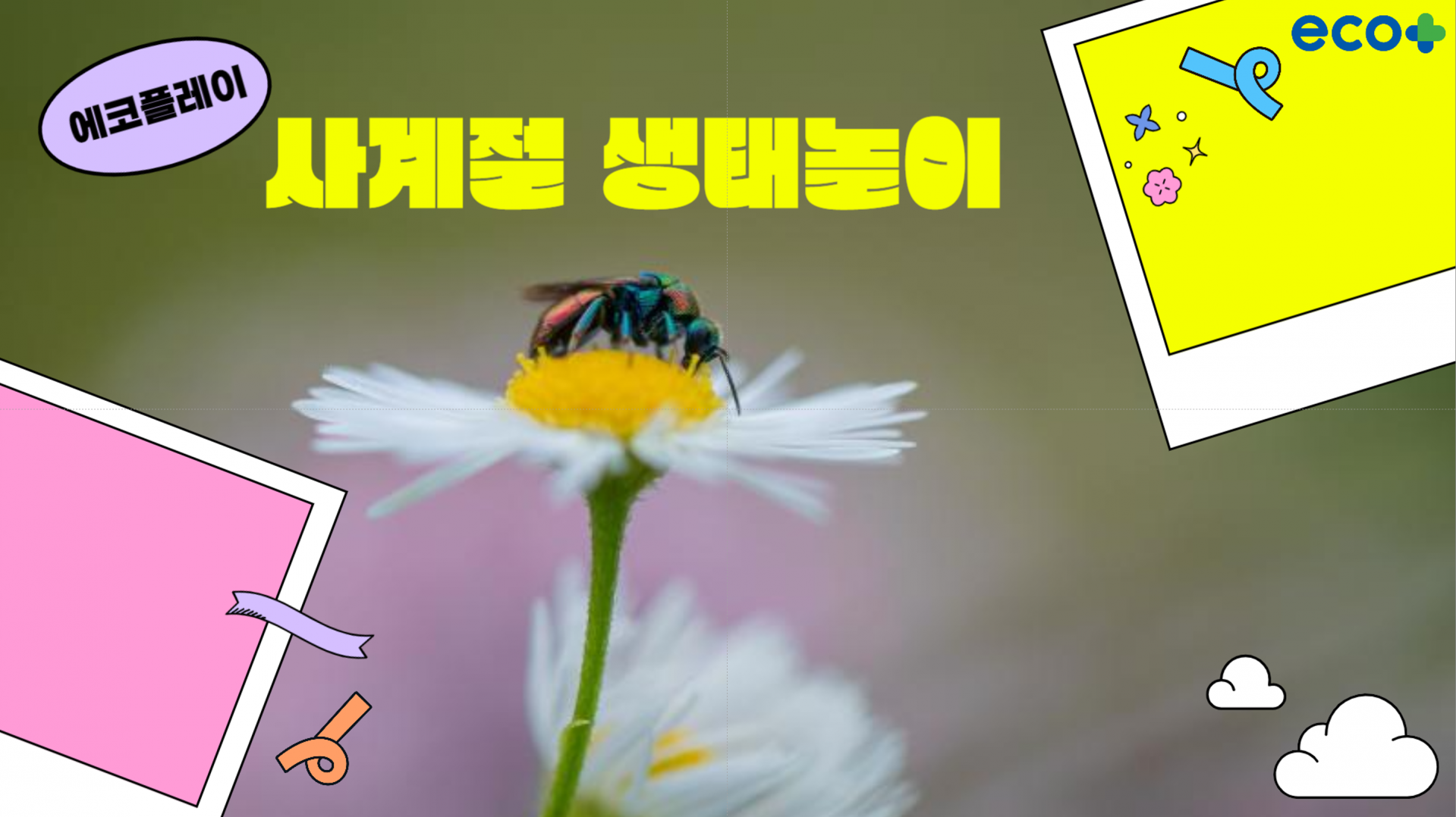 a1cd0e2ba5991.png