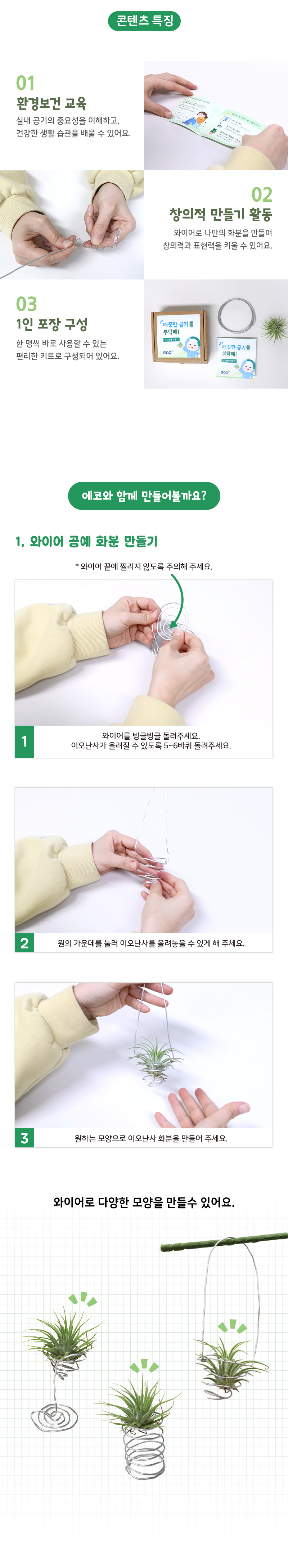 공기정화식물 이오난사 화분 장식 만들기 (환경교육 수업 자료 제공)