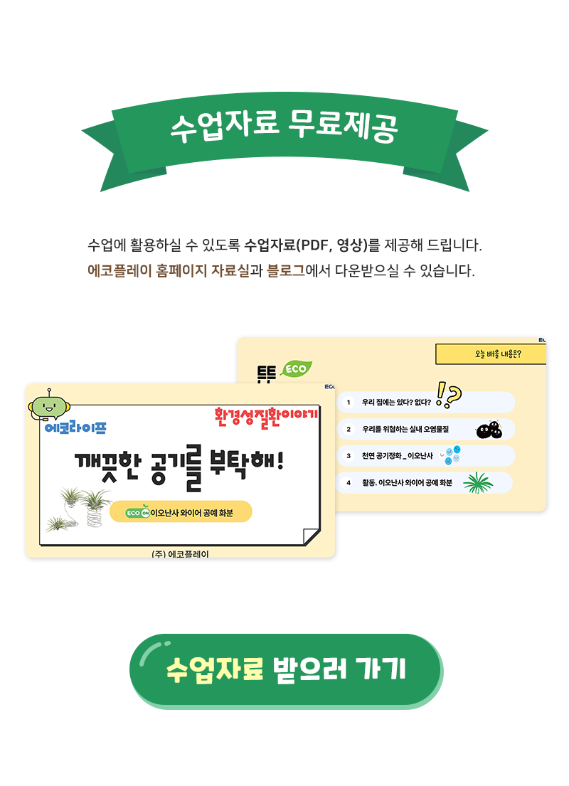 공기정화식물 이오난사 화분 장식 만들기 (환경교육 수업 자료 제공)