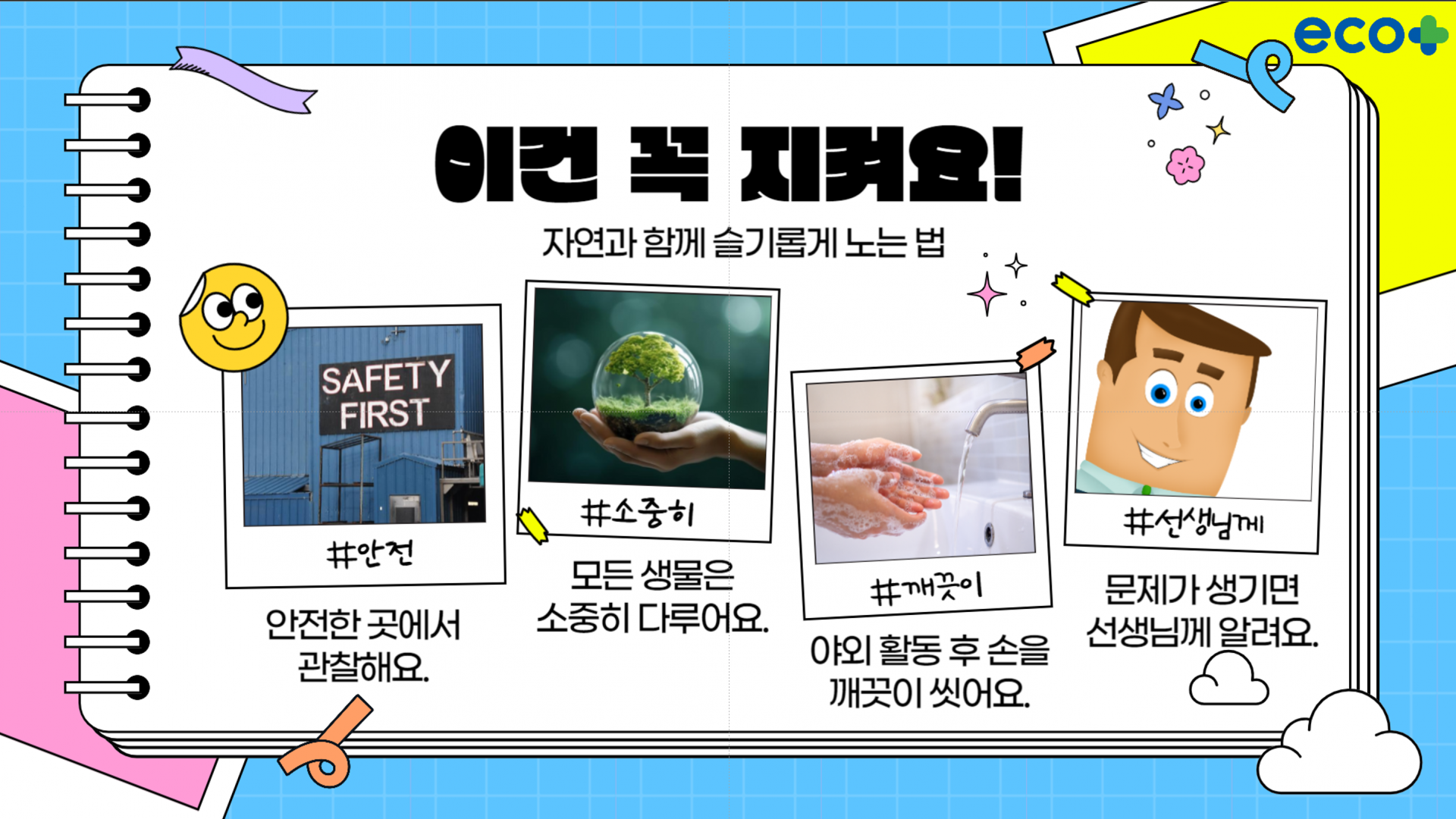 dff926e620b22.png