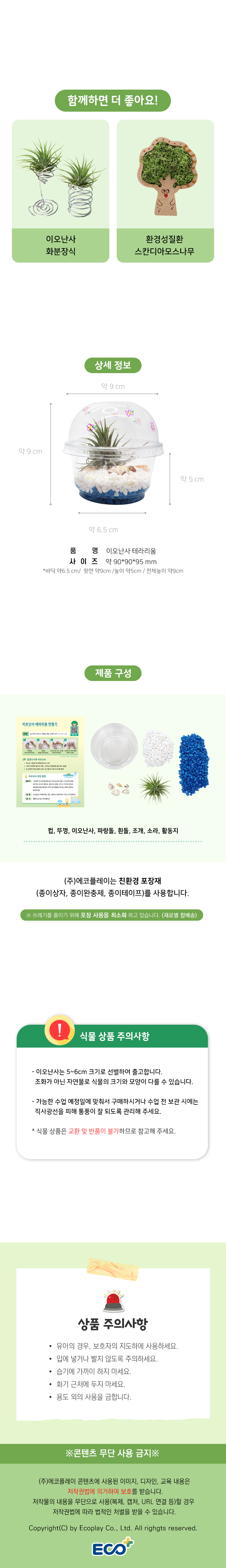 공기정화식물 이오난사 테라리움 만들기 (환경교육 수업 자료 제공)