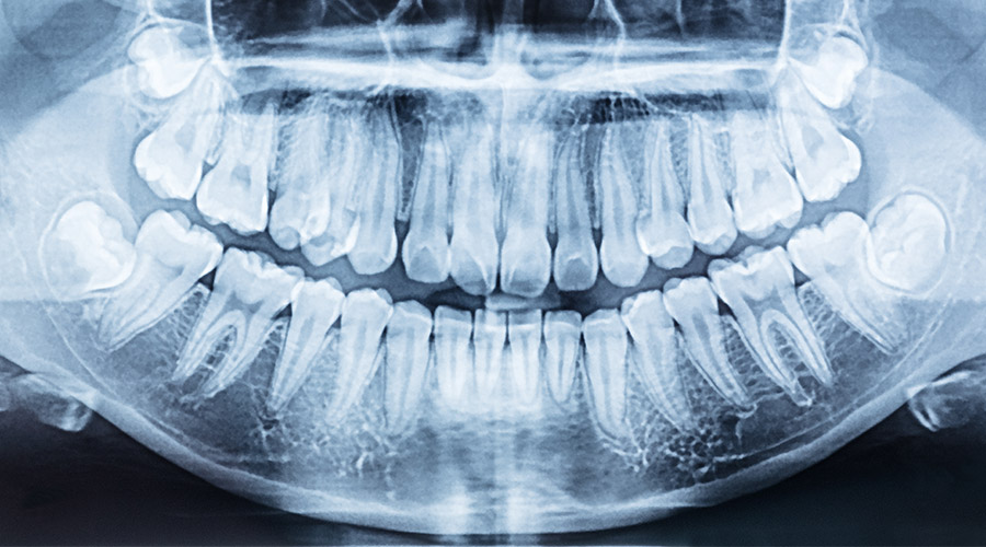 ddf10941e7d65.jpg