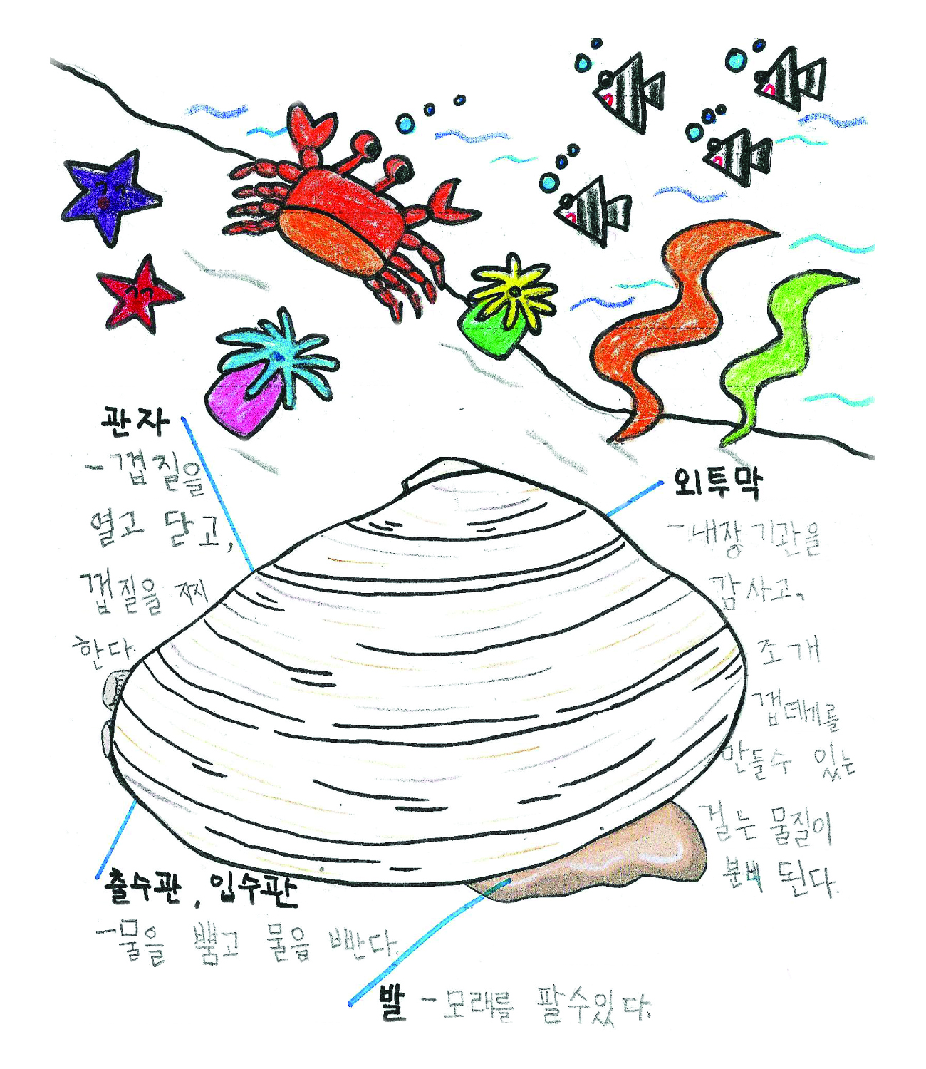 난 조개 박사님! : 창의력 글쓰기 대회 작품전