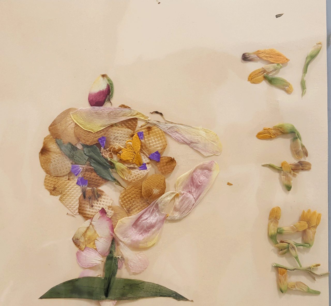 7b6e4803ee4e8.gif